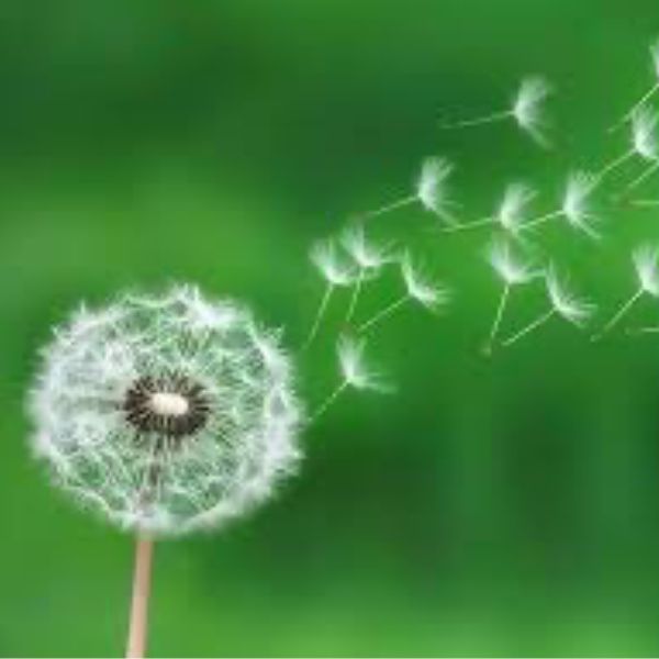 Duyên Và Cuộc Sống Hàng Ngày