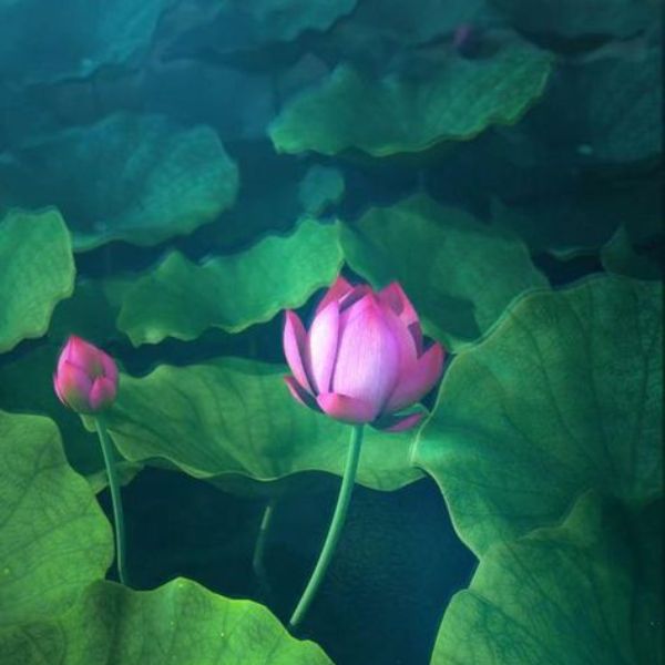 Tại Sao Hiểu Duyên Lại Quan Trọng?