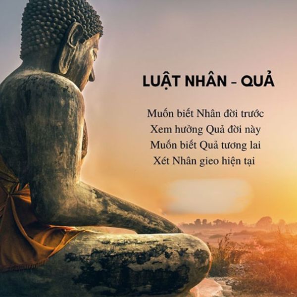 Quả báo