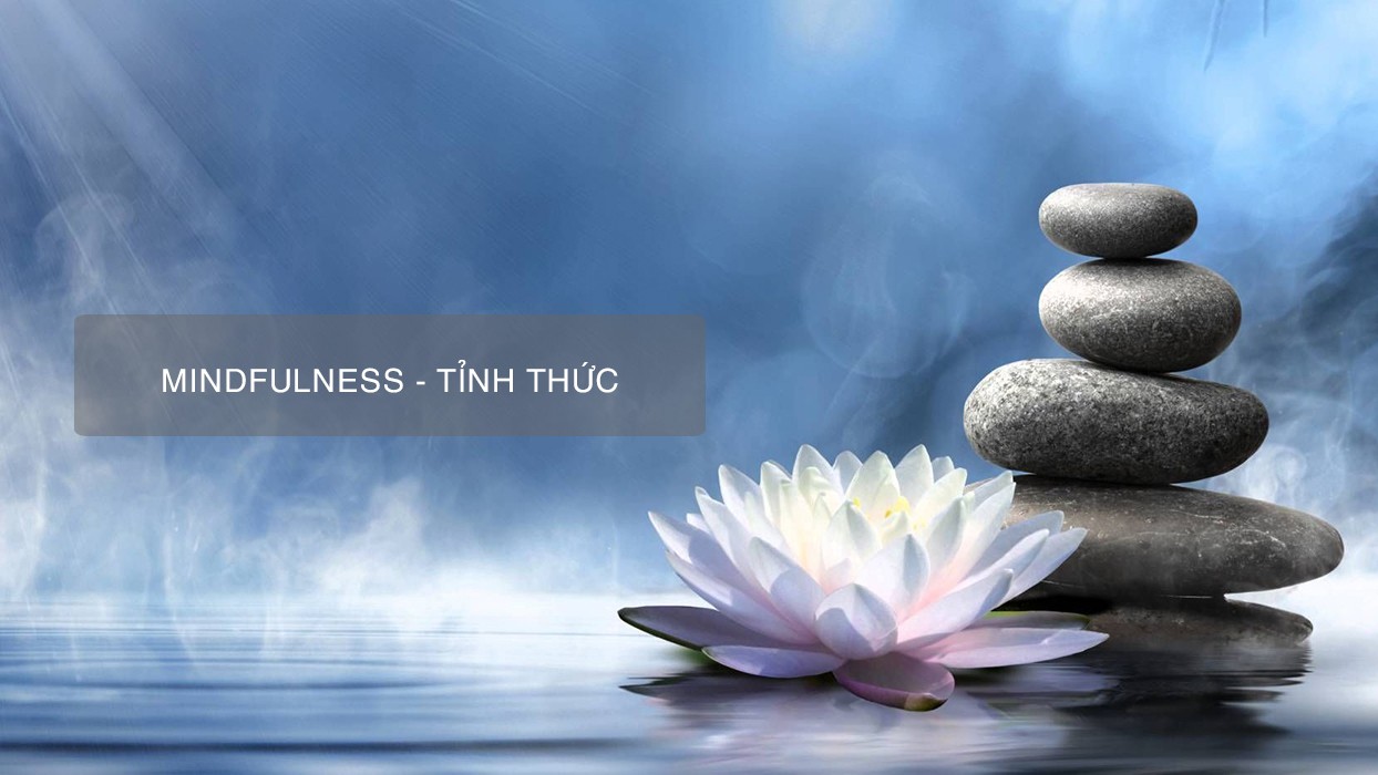 Tỉnh thức là gì?